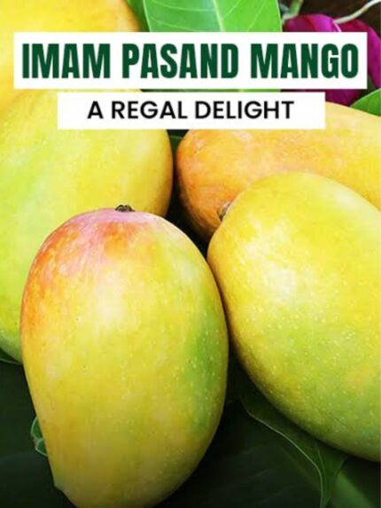 Imam Pasand Mango 10 KG