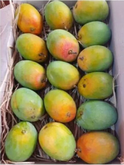 Nadusalai / Pether / Raspuri  20 KG